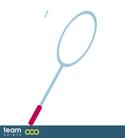Badminton racket and birdie