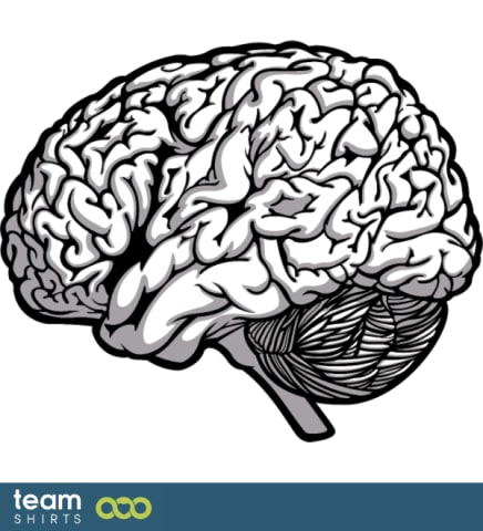 brain