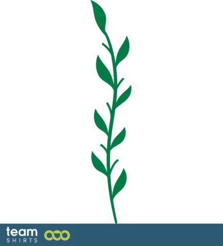 grass plant
