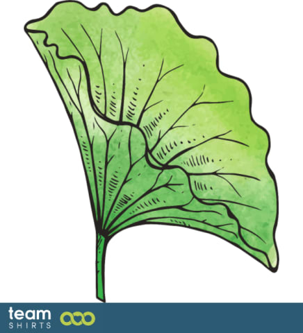 Lotus leaf
