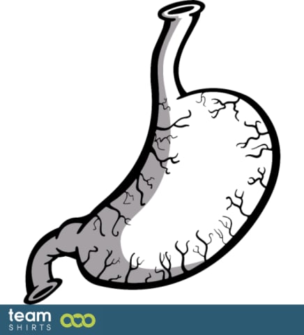 stomach