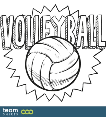 volleyball vectorstock 1248759