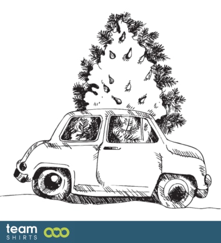 Christmas tree in a car