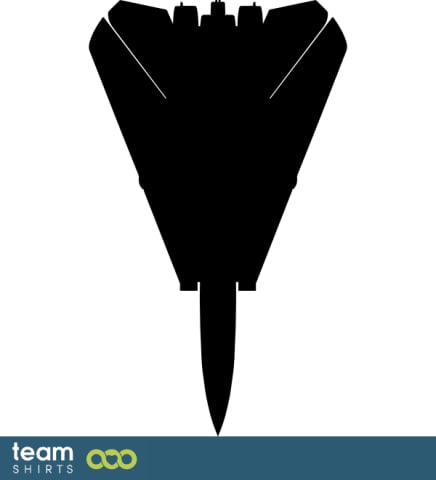 F 14 airplane