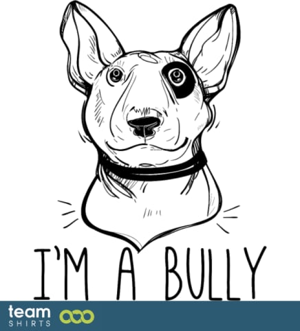 I'm a Bully