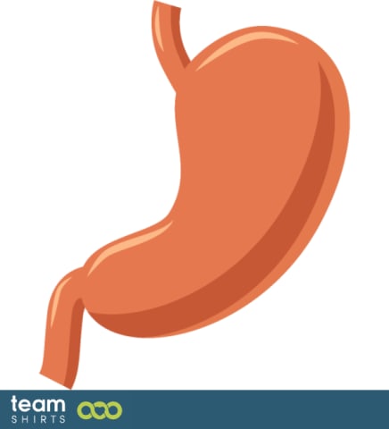 Stomach