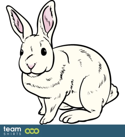 rabbit