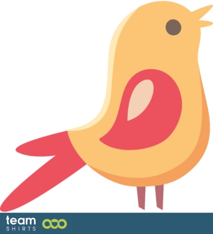 little bird