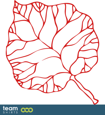tilia cordata leaf