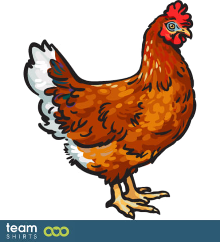 Realistic chicken
