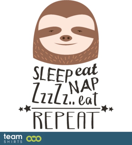 sloth zzz