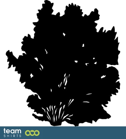 bush