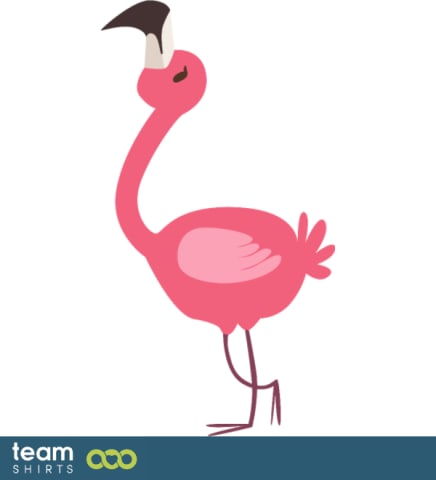 flamingo