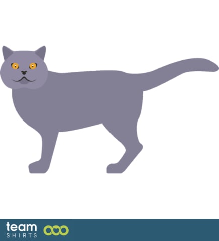 03 cat vectorstock 10334020