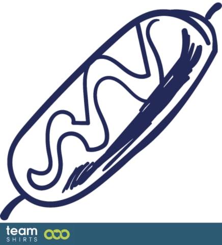 Corn dog