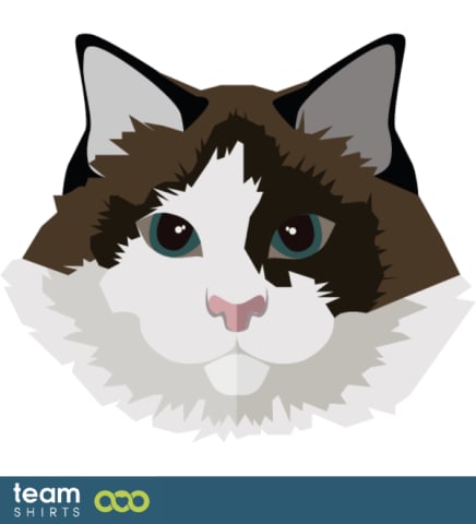 Cat face