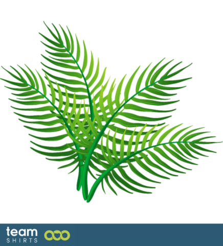 palmtree leaves