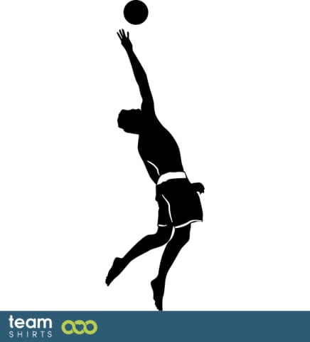 Volleyball Player
