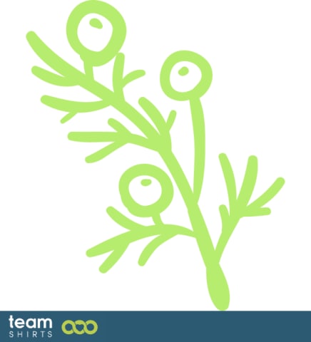 branch