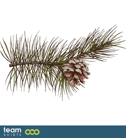 pine branch