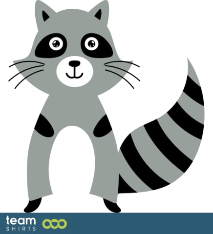 raccoon