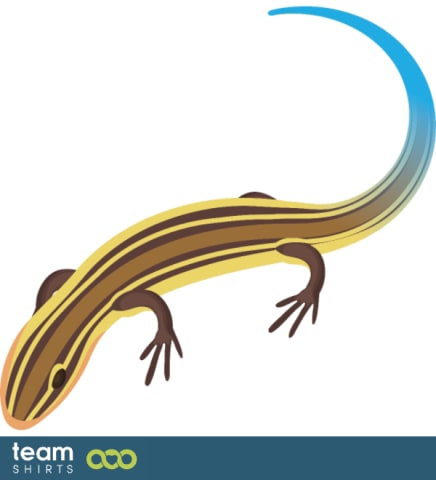Lizard