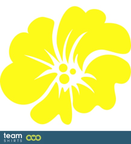 Hawaiian lei