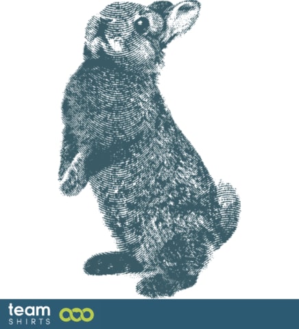 rabbit