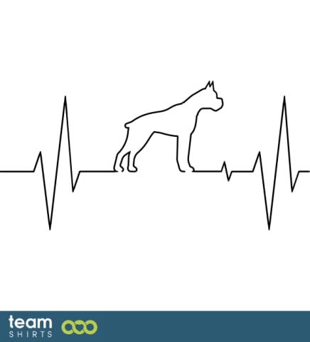 ECG dog