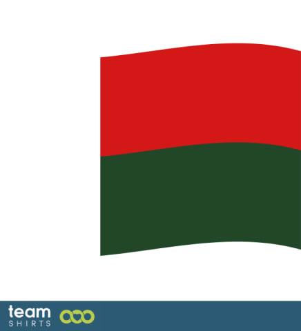 flag madagascar