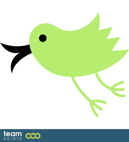 little bird