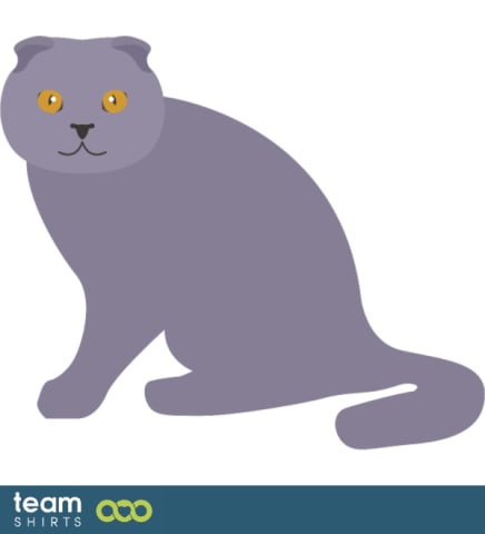 Vectorstock 10333441ScottishFoldpng0692