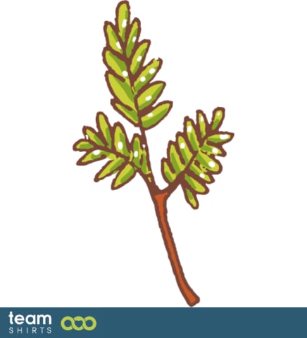 branch