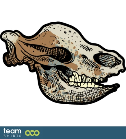 rhino skull