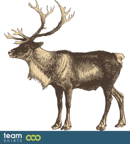 reindeer