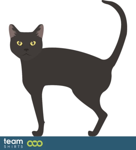 Vectorstock 10334014Bombaypng0142