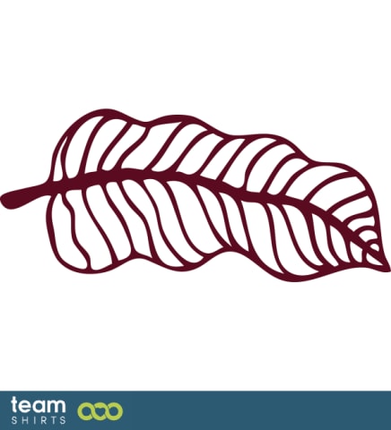 pear leaf