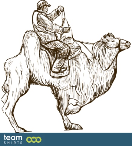 guy on camel