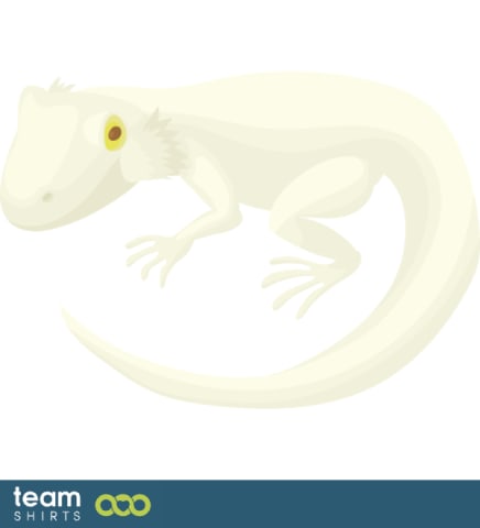 Lizard