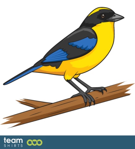 bird