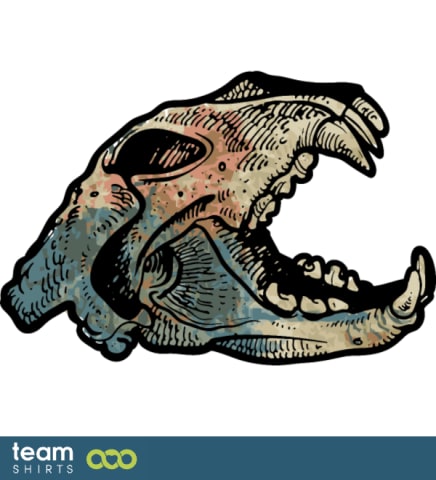 tiger skull