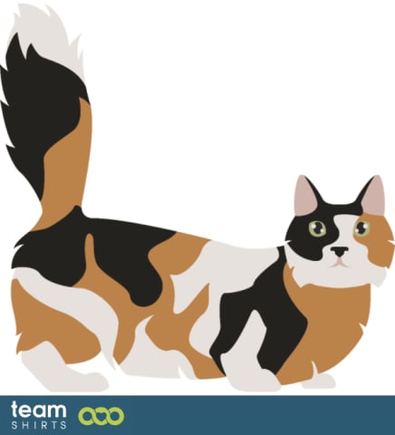 Vectorstock 10334014Munchkinpng0147