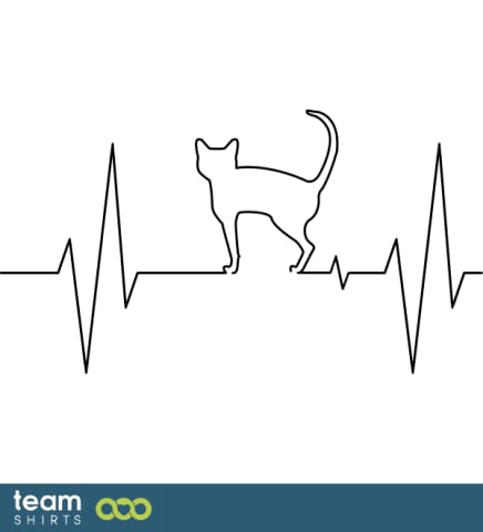 ECG cat