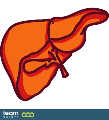 Liver
