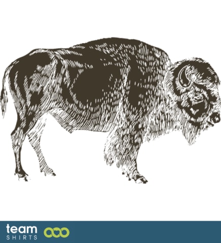 Buffalo