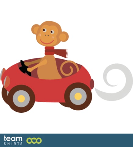 car monkey