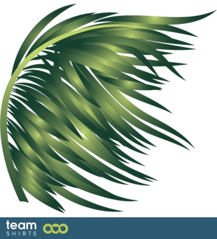 palmtree leave