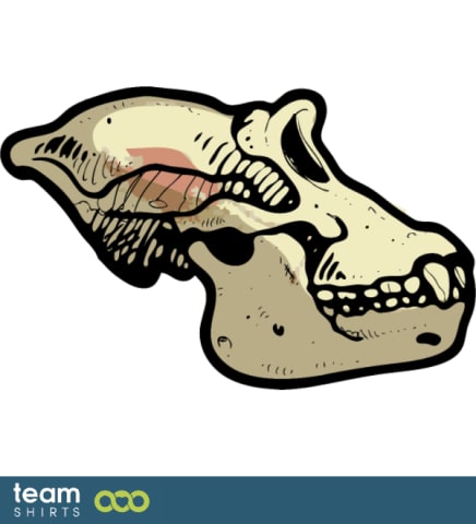 ape skull
