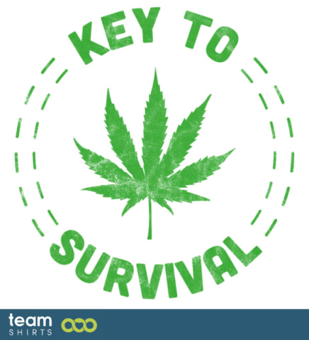 ansc keytosurvival gr