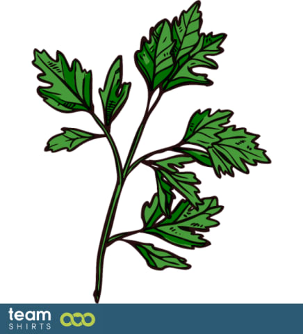 Organic parsley plant